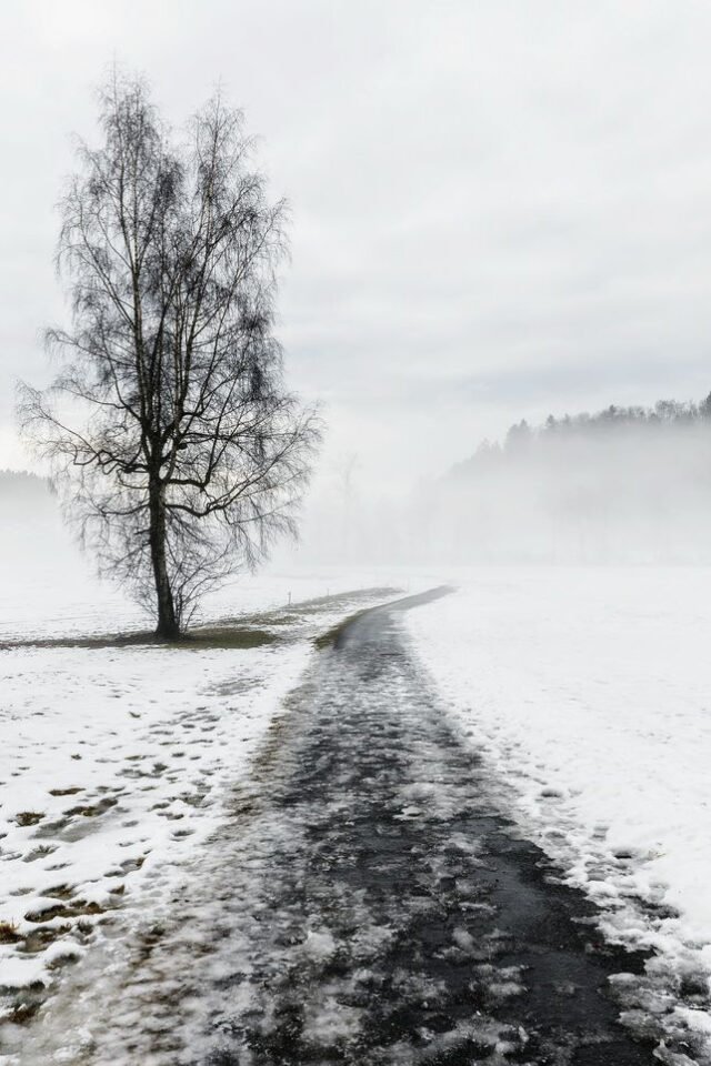 Landschaft Schneeschmelze 32