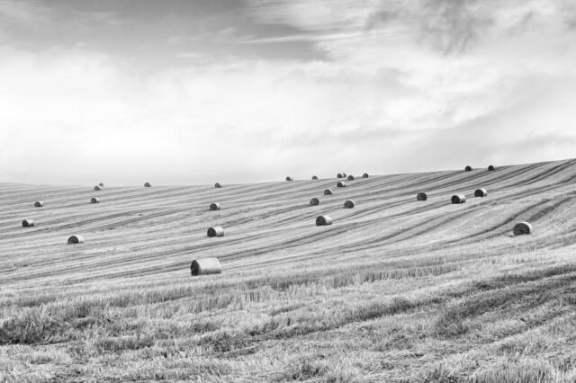 Landschaft Schottland 17