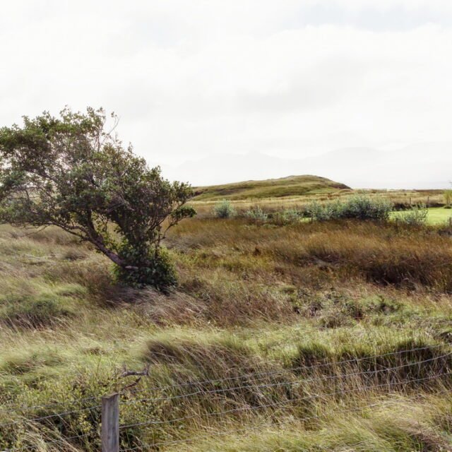 Landschaft Schottland 25