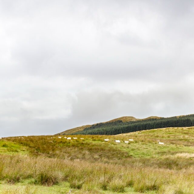 Landschaft Schottland 40