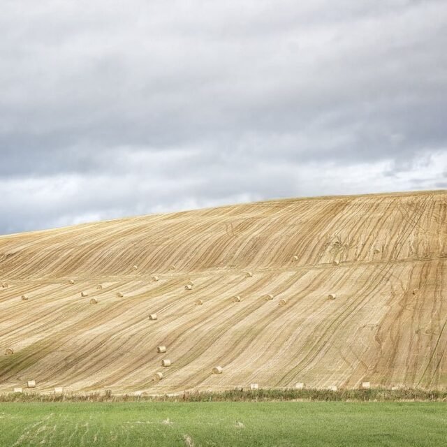 Landschaft Schottland 42