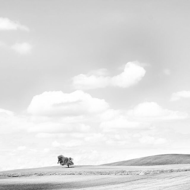 Landschaft Schwarz Weiss 04