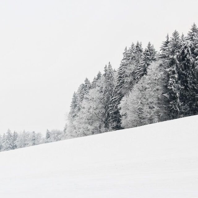 Landschaft Schwarz Weiss 06