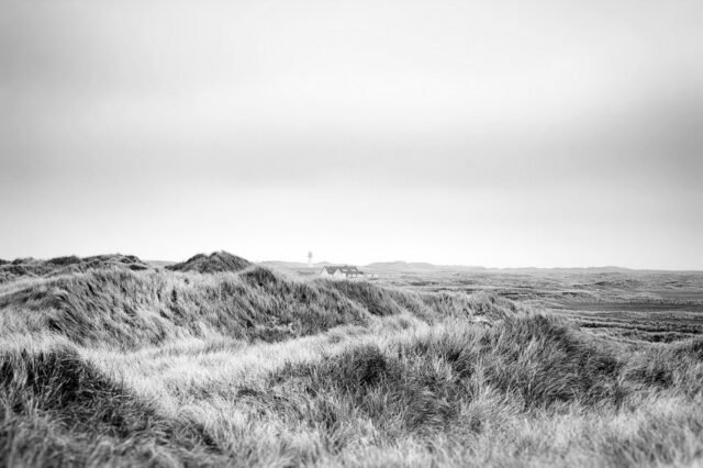 Landschaft Schwarz Weiss 07