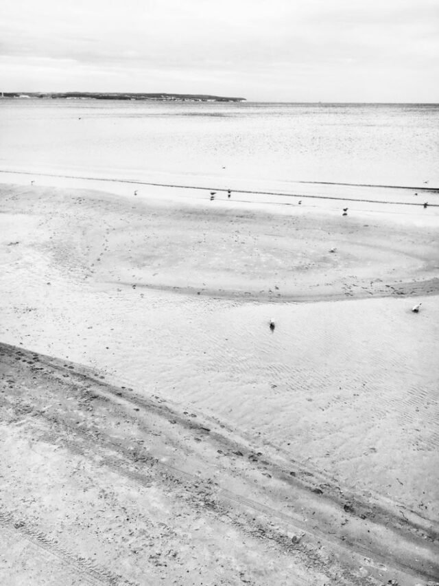 Landschaft Schwarz Weiss 24