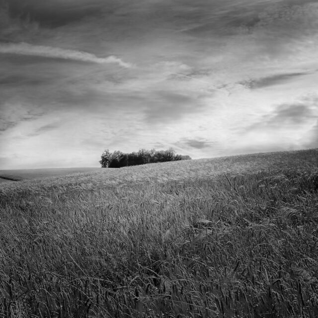 Landschaft Schwarz Weiss 26