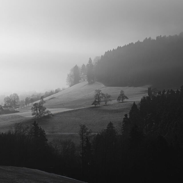 Landschaft Schwarz Weiss 28