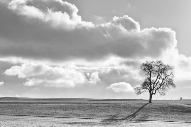 Landschaft Schwarz Weiss 39