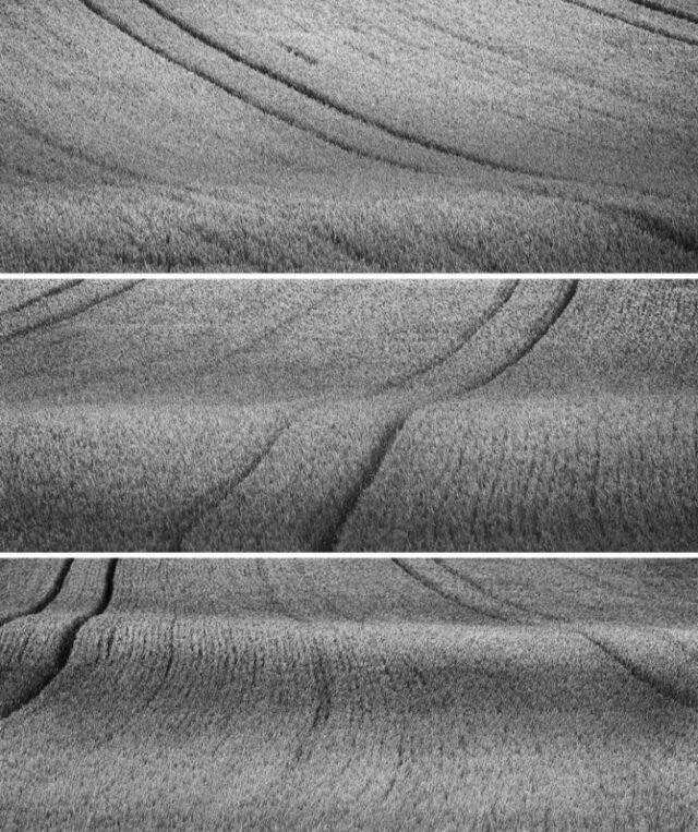 Landschaft Schwarz Weiss 41