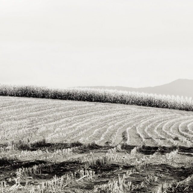 Landschaft Schwarz Weiss 43