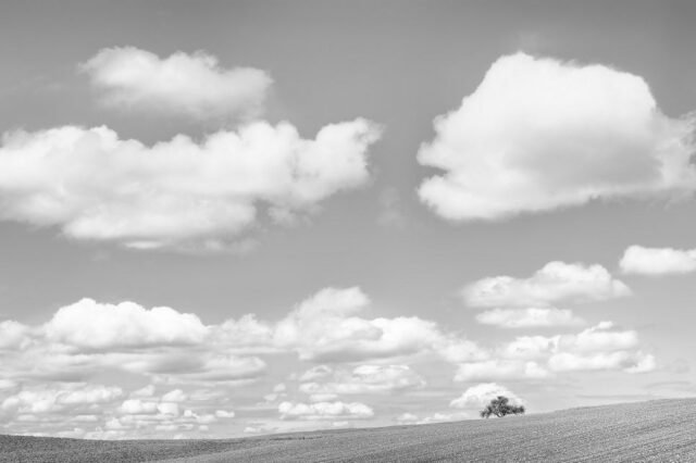 Landschaft Schwarz Weiss 45