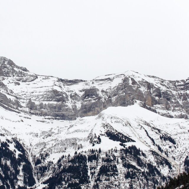 Landschaft Schwarz Weiss 56