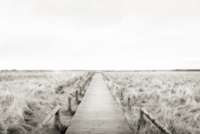 Landschaft Schwarz Weiss 58