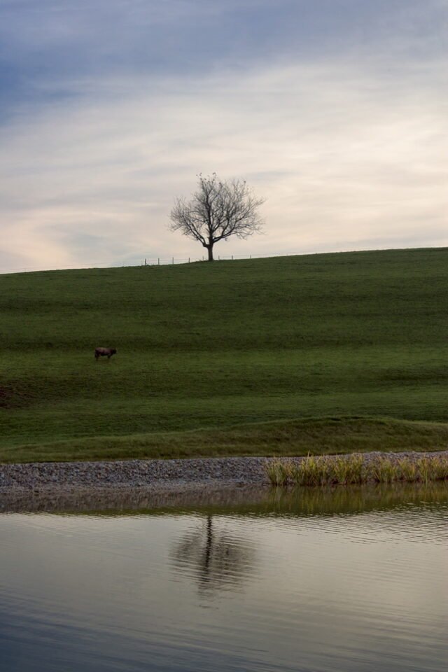 Landschaft Stimmungen 14