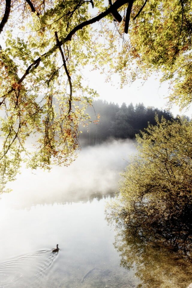 Landschaft Stimmungen 23