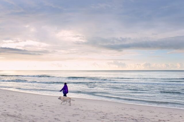 Landschaft Sylt 05