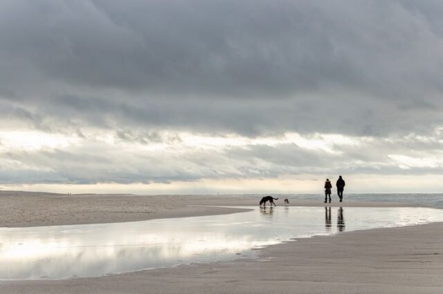 Landschaft Sylt 37