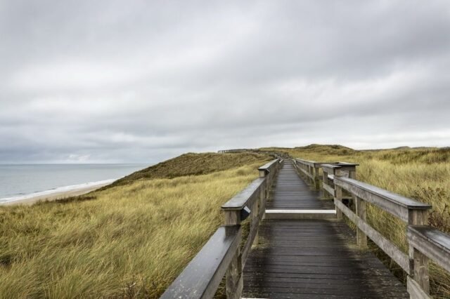 Landschaft Sylt 56