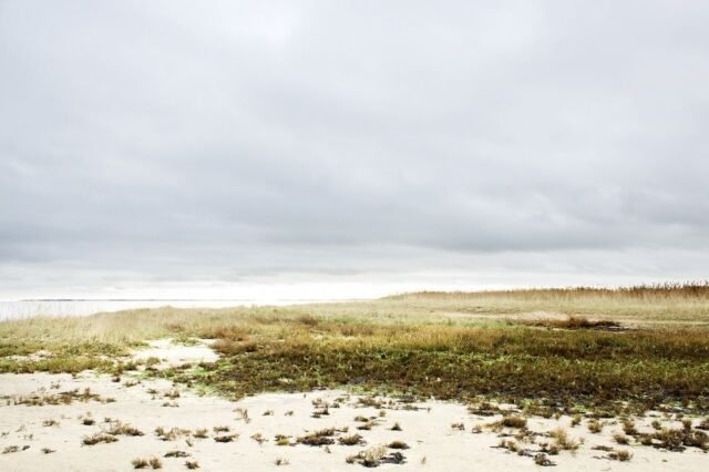 Landschaft Sylt 60
