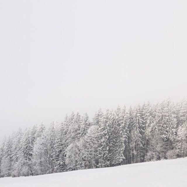 Landschaft Winter 02