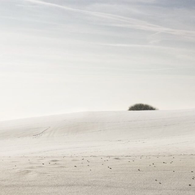 Landschaft Winter 05