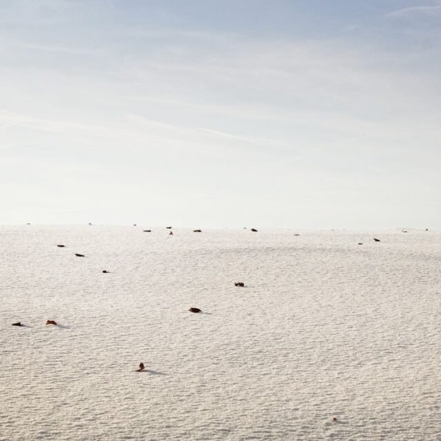 Landschaft Winter 06