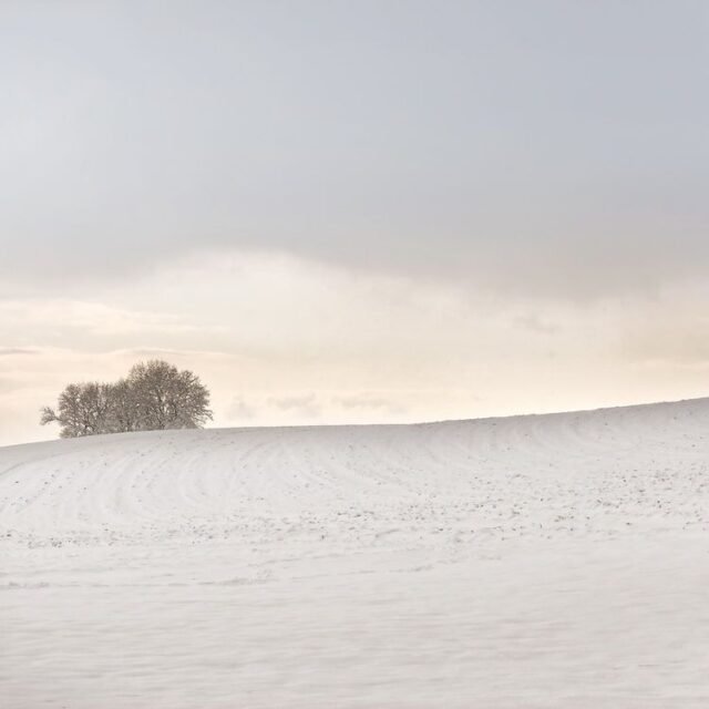 Landschaft Winter 09