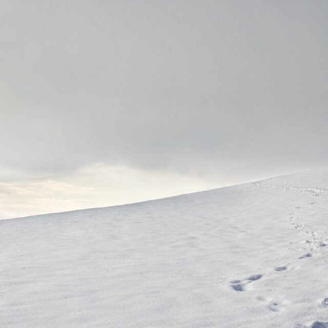 Landschaft Winter 19