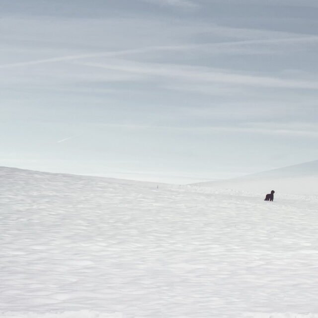 Landschaft Winter 20