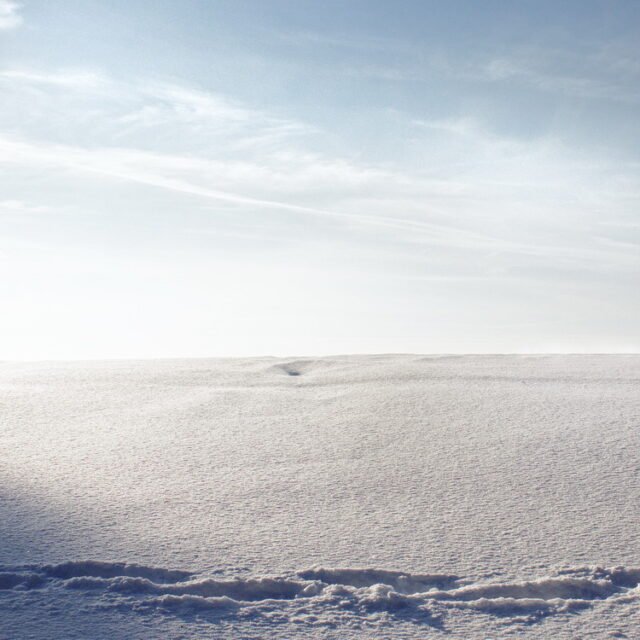 Landschaft Winter 24