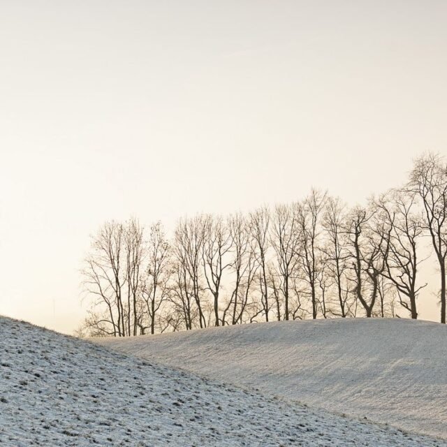 Landschaft Winter 26