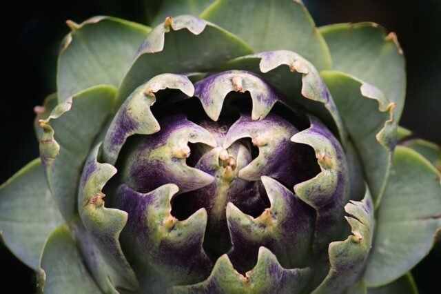 Natur Blaetter 61