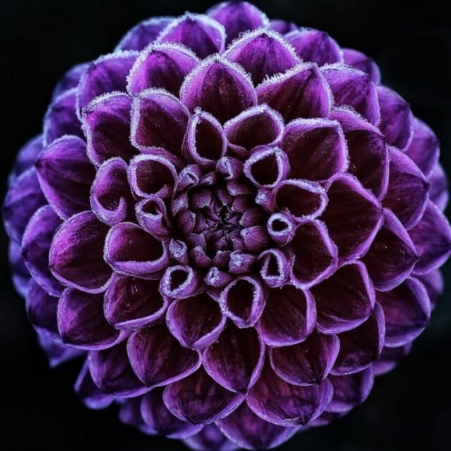 Natur Blueten Bunt 015