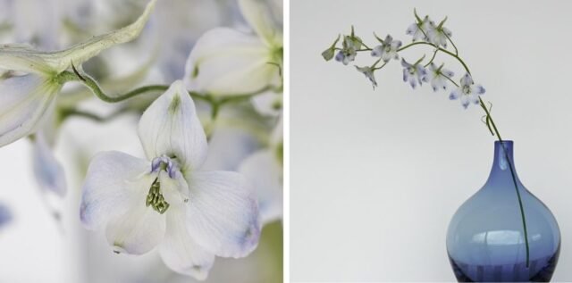 Natur Blueten Pastell 51