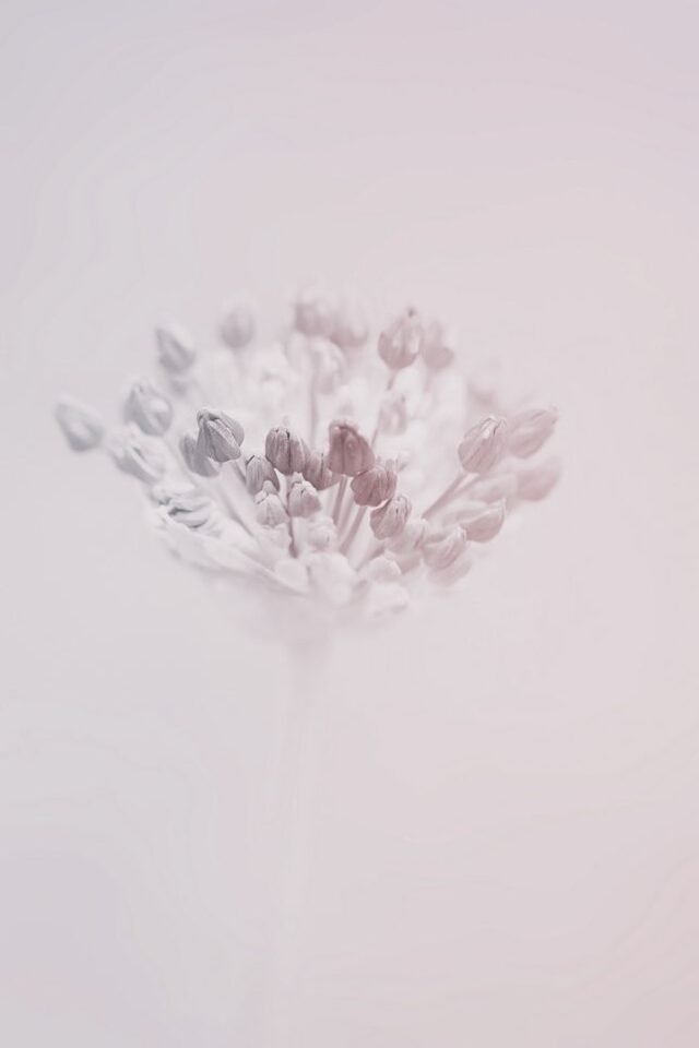 Natur Schwarz Weiss 04