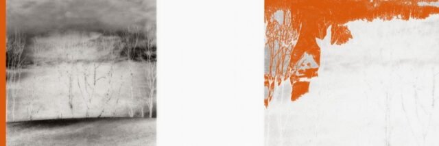 Stillleben Foto Grafik 6
