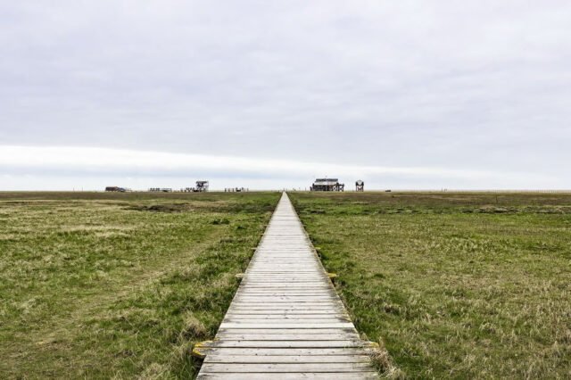 Unterwegs St Peter Ording 023