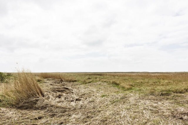 Unterwegs St Peter Ording 047