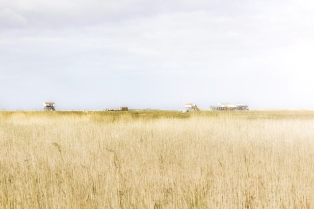 Unterwegs St Peter Ording 081