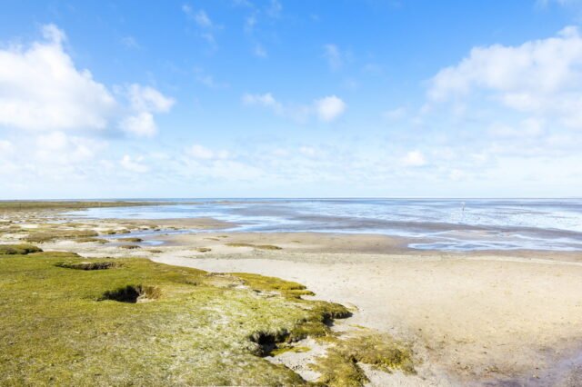 Unterwegs St Peter Ording 104